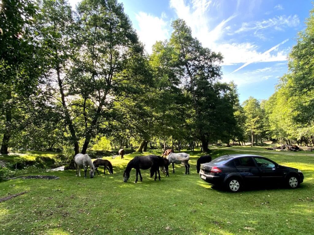 locatie de off camping la munte