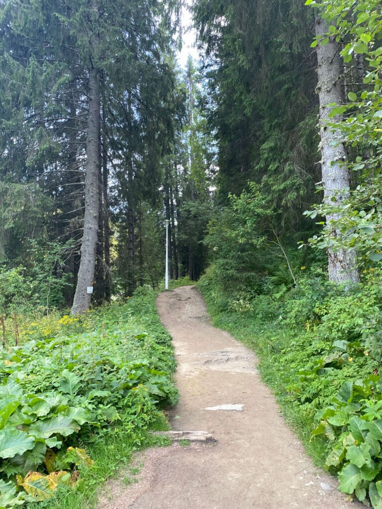 alee padure lacul scropoasa