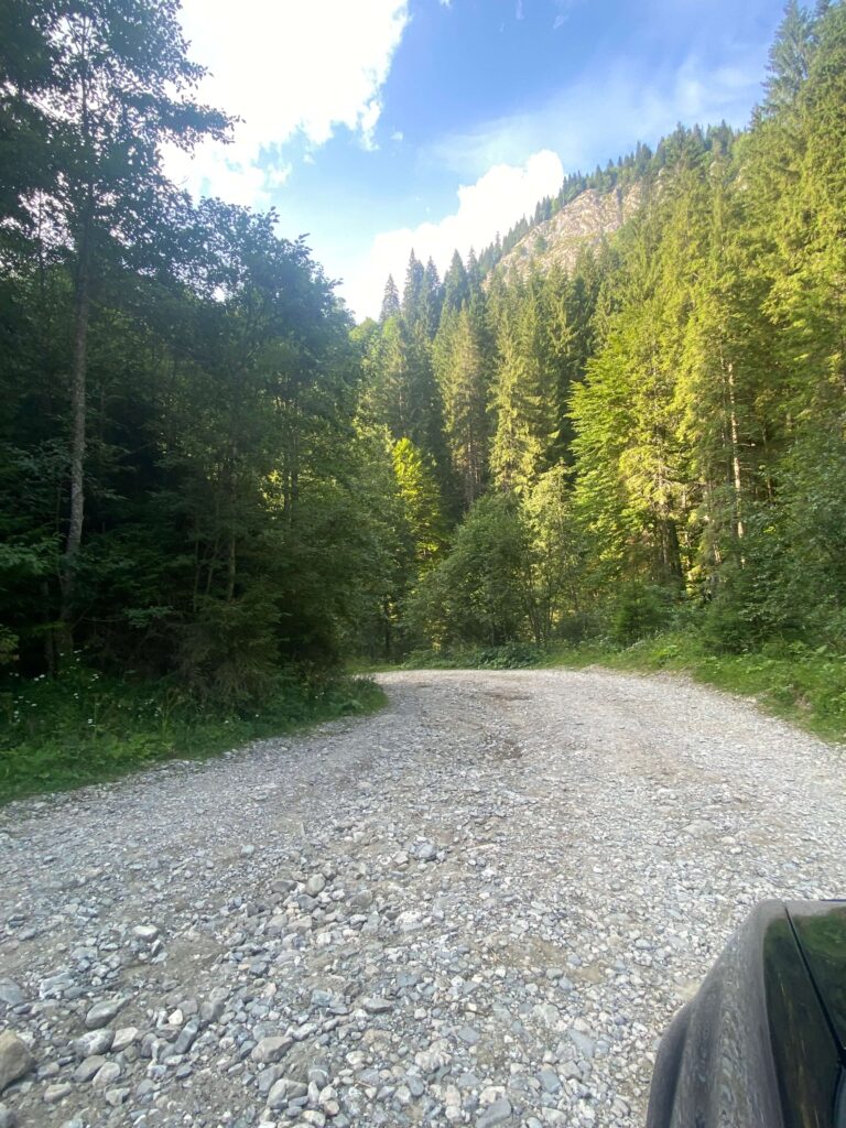 drum auto de pietris prin padure catre lacul scropoasa