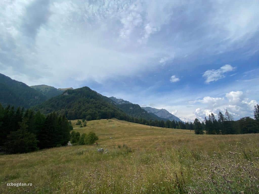 poiana stanei