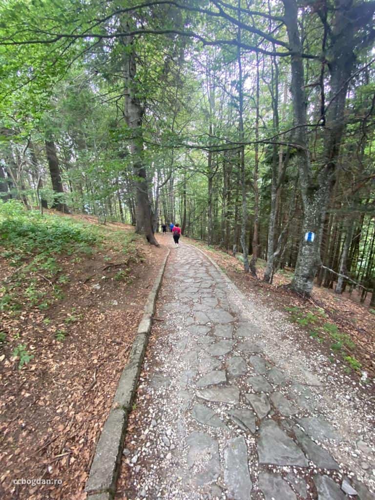 traseu poteca regala