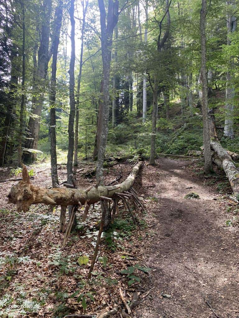 traseu vechi poteca regala romania