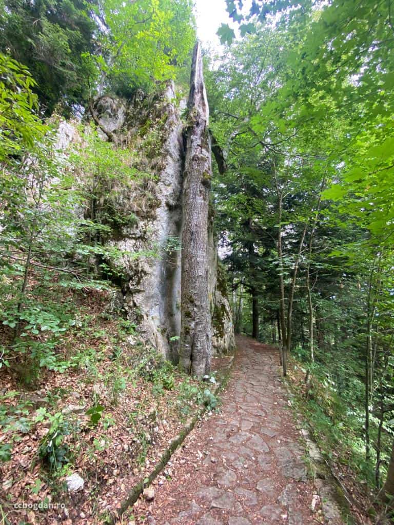 traseu pietnol poteca regala