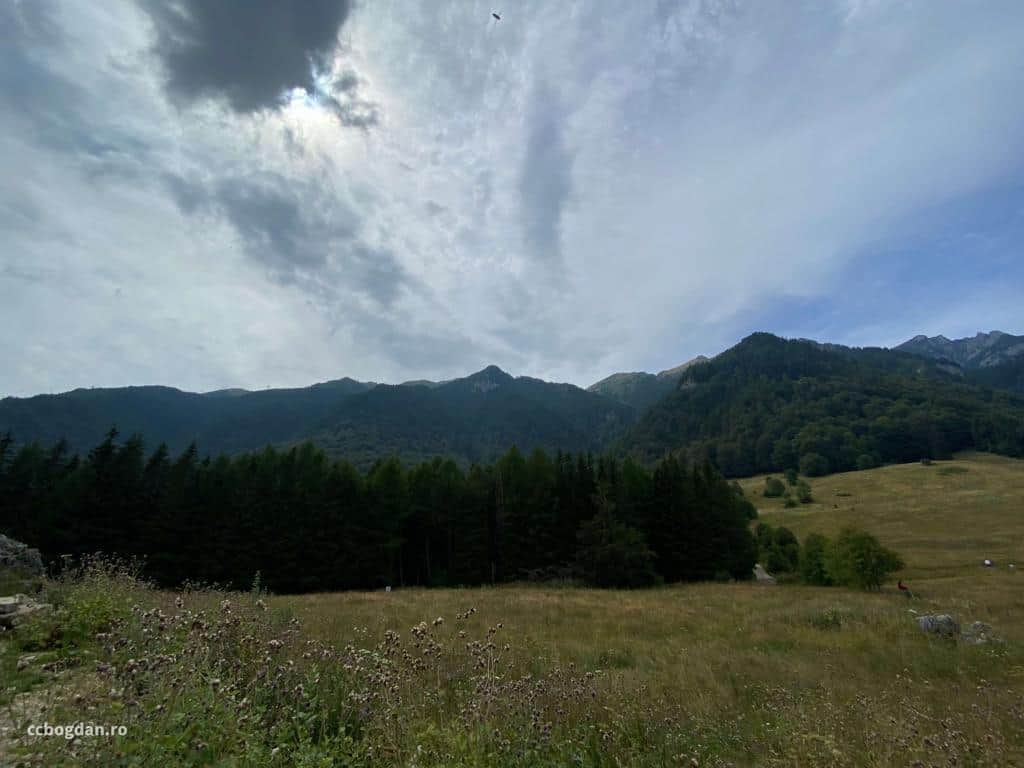 poze poiana stanei