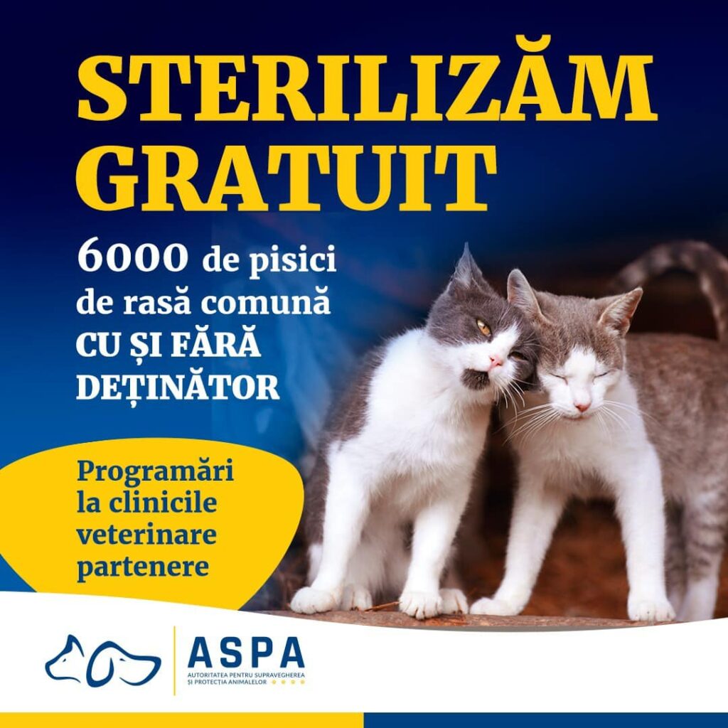 Sterilizare gratuită la pisici