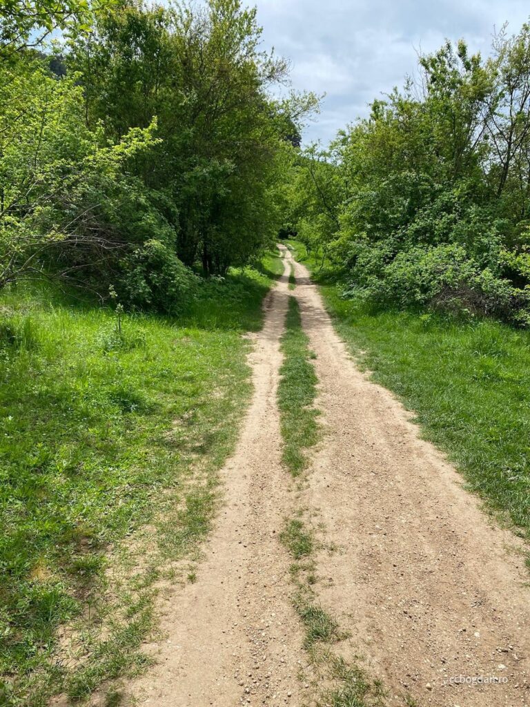 De unde se începe traseul pe Dealul Lempeș