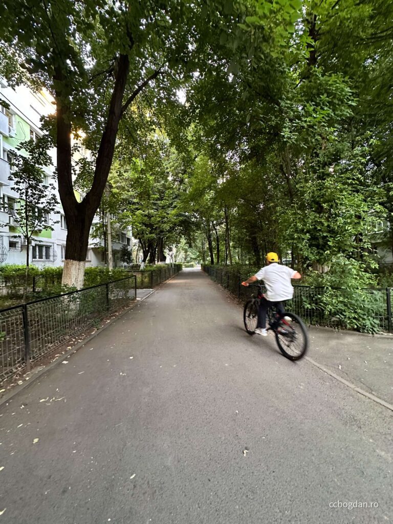 Pajura cartier liniștit asaltat de bicicliști