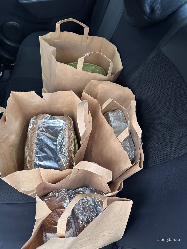 comanda mancare bucurestii noi damaroaia chitila pajura