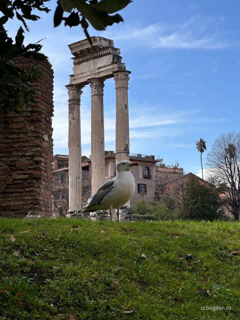 roma obiective turistice forumul roman