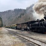 Mocănița Maramureș Valea Vaserului