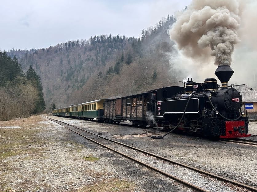 Mocănița Maramureș Valea Vaserului
