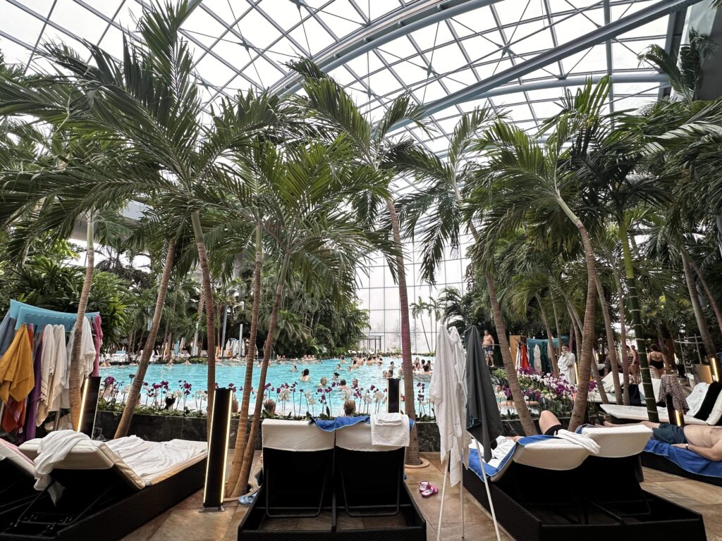 the palm piscina interioara therme