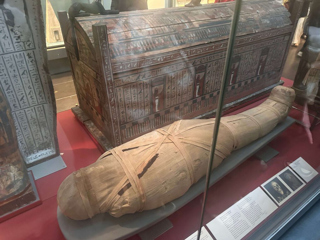sarcofage mumii british museum londra