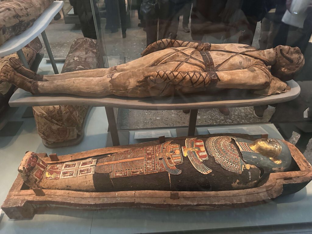 mumii sarcofage 3000 ani londra british museum