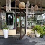 florăria ameli jiului Damaroaia