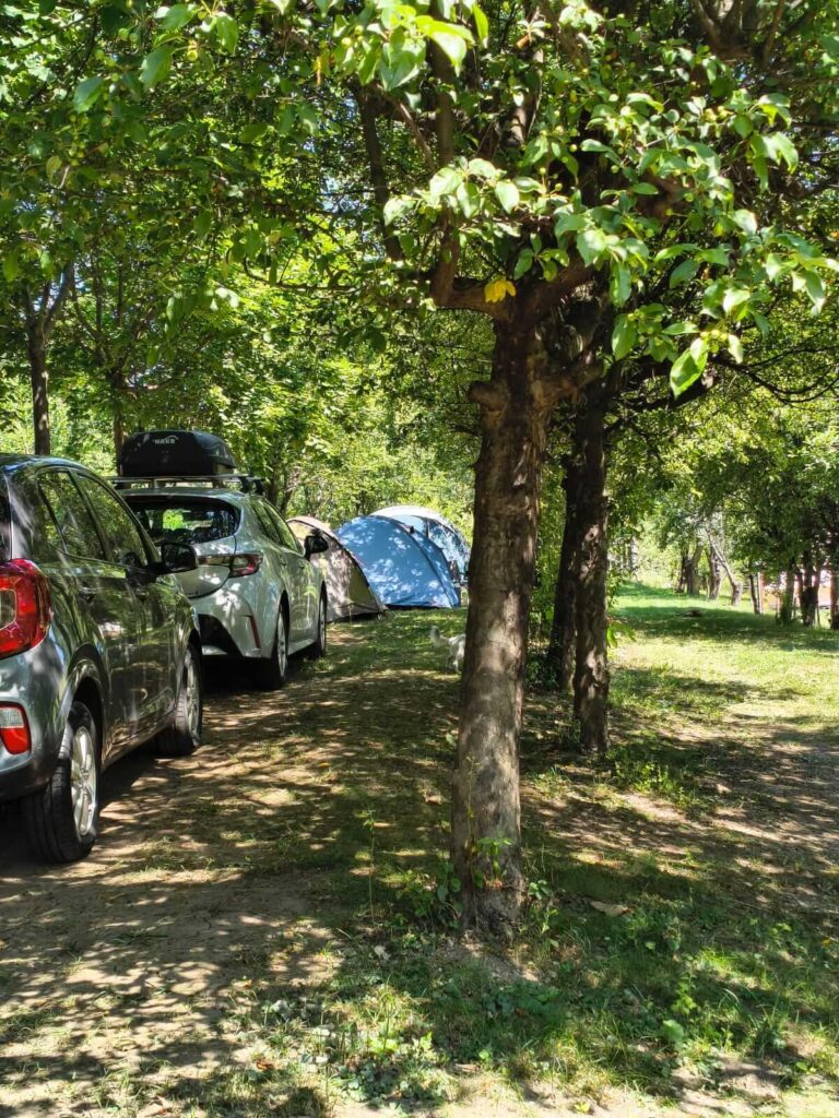 camping ananas cisnadoara pareri
